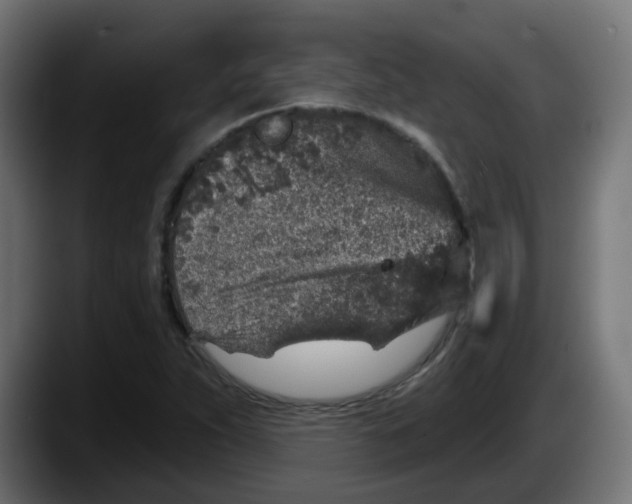 X0000087571263200705251813