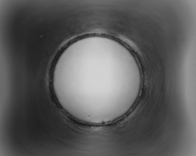 X0000087571264200705251813