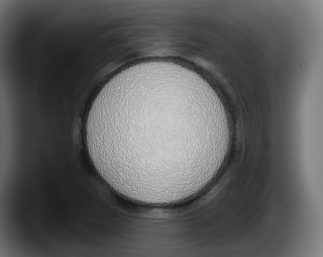 X0000087571265200705251813