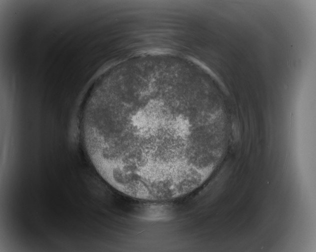 X0000087571266200705251813