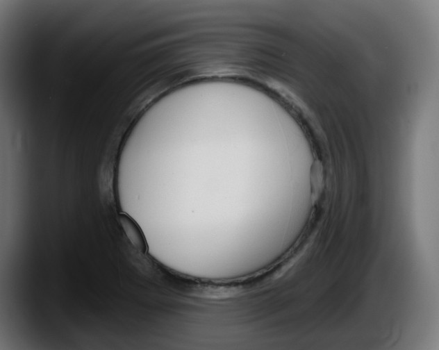 X0000087571273200705251813