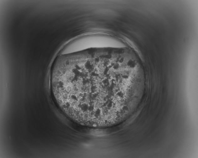 X0000087571275200705251813