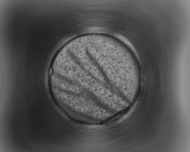 X0000087571277200705251813