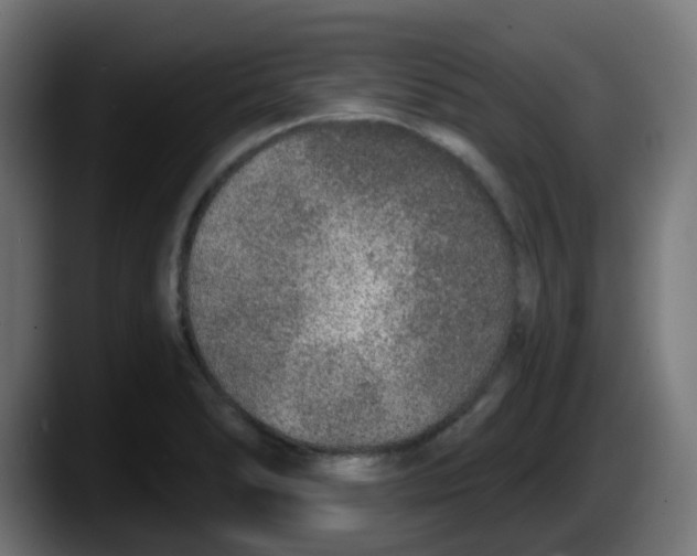 X0000087571278200705251813