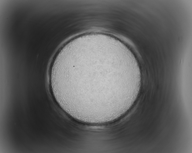 X0000087571280200705251813