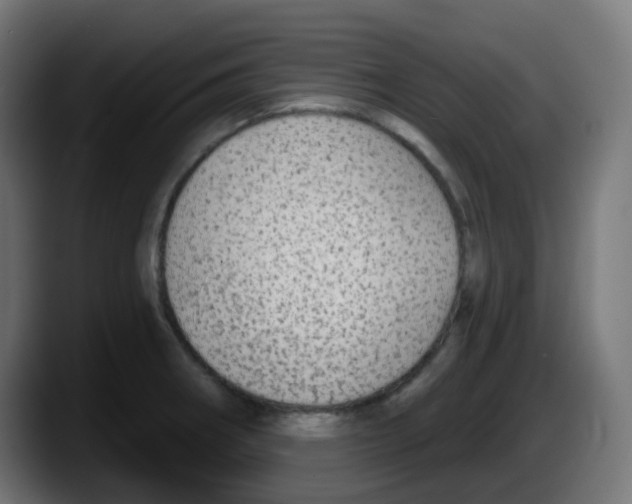 X0000087571282200705251813