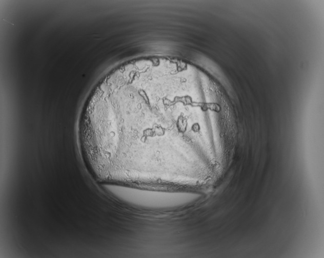 X0000087571283200705251813