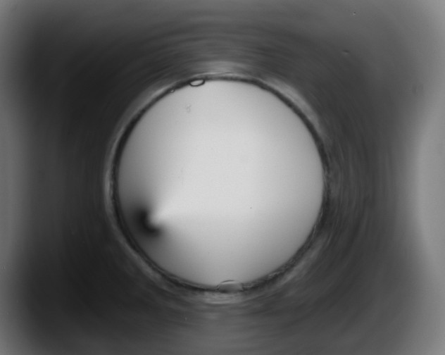 X0000087571285200705251813