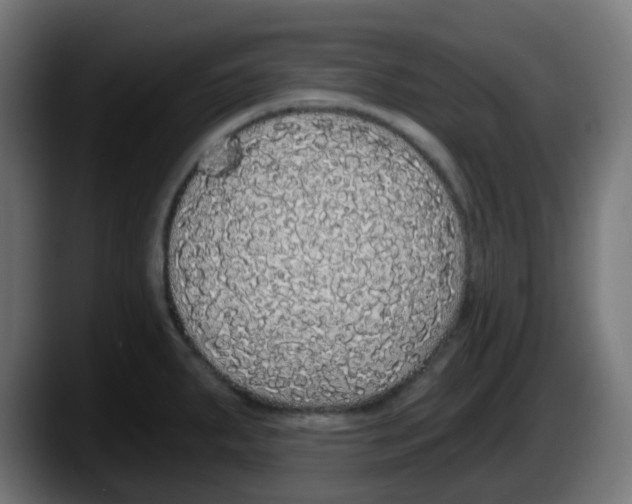 X0000087571287200705251813