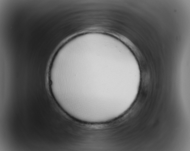 X0000087571288200705251813