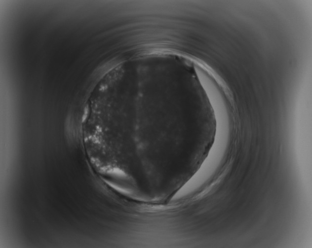 X0000087571289200705251813