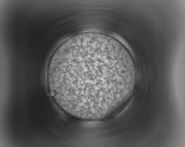 X0000087571290200705251813