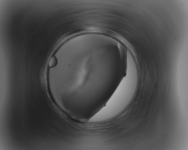 X0000087571291200705251813