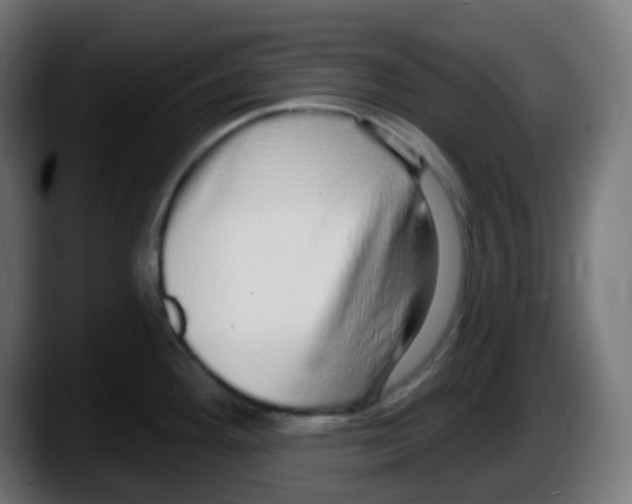 X0000087571292200705251813