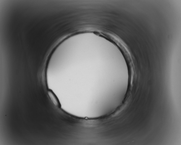 X0000087571293200705251813