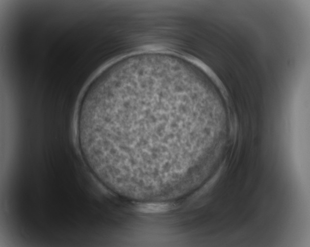 X0000087571294200705251813