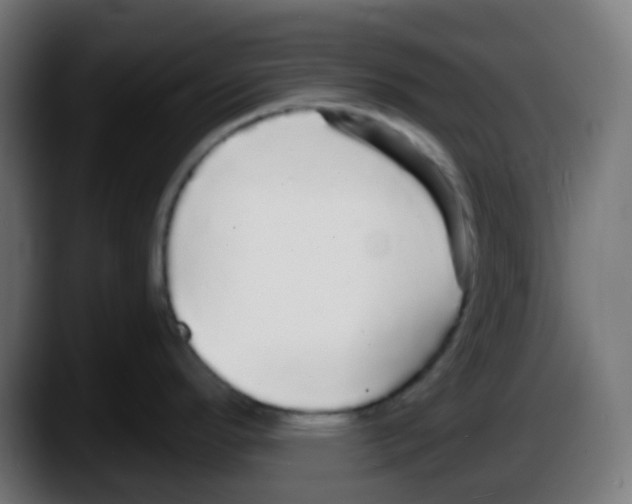 X0000087571296200705251813