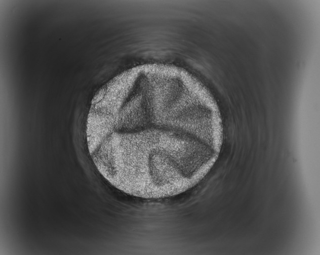 X0000087571297200705251812