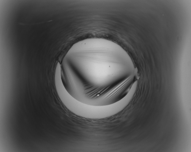 X0000087571298200705251812