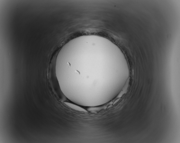 X0000087571300200705251812