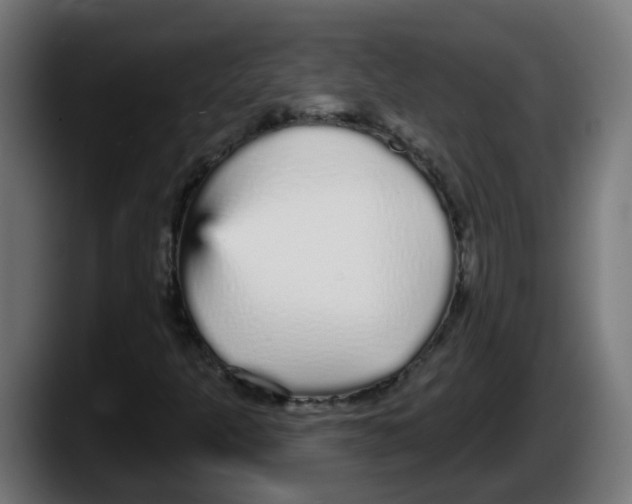 X0000087571301200705251812