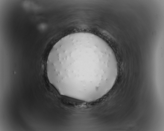 X0000087571302200705251812