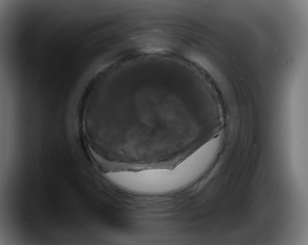 X0000087571306200705251812