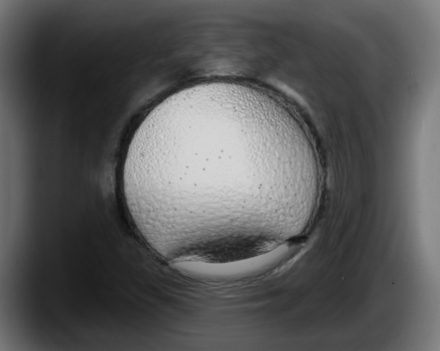 X0000087571309200705251812