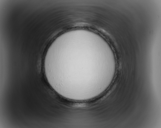 X0000087571313200705251812