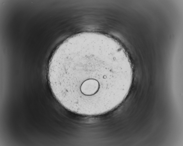 X0000087571314200705251812