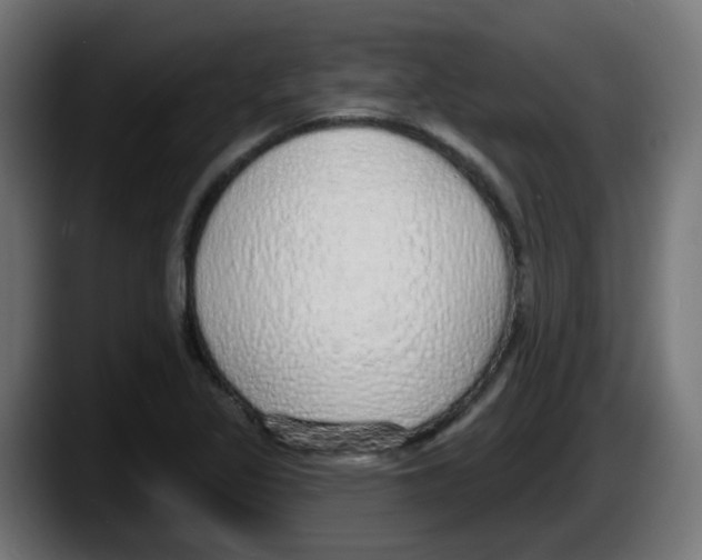 X0000087571317200705251812