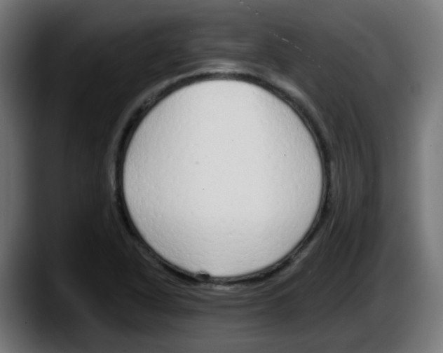 X0000087571318200705251812