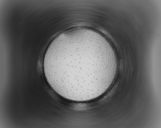 X0000087571321200705251812