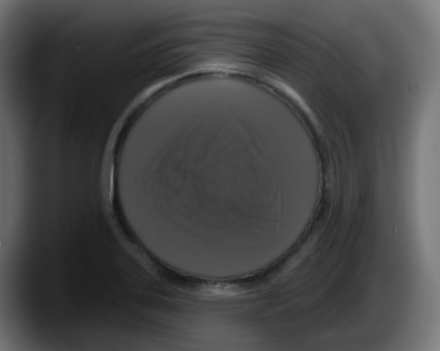 X0000087571323200705251812