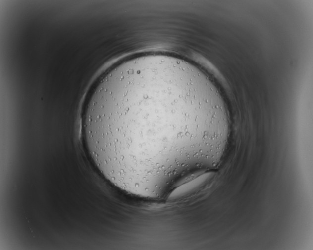 X0000087571324200705251812