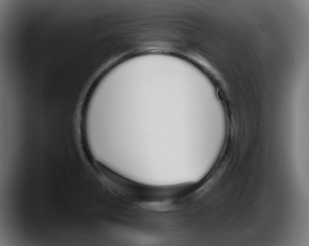 X0000087571325200705251812