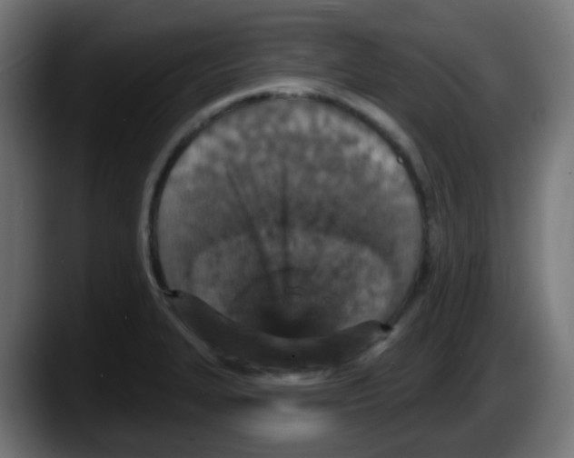 X0000087571327200705251812