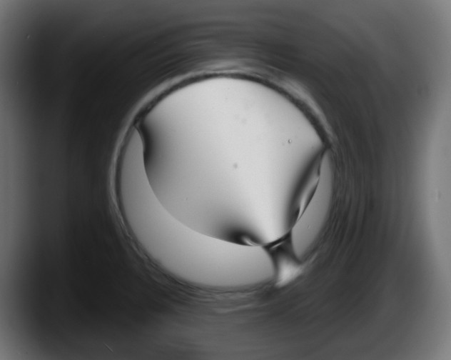 X0000087571328200705251812