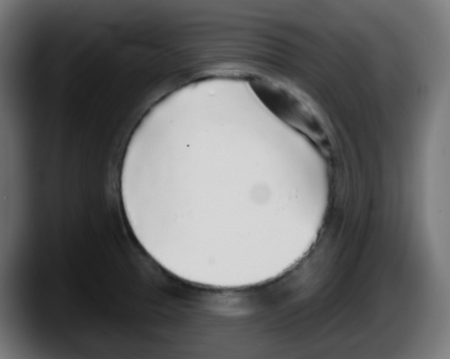 X0000087571329200705251812