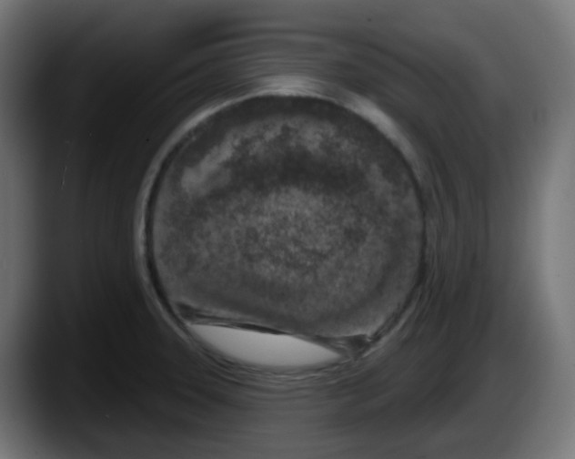 X0000087571331200705251812