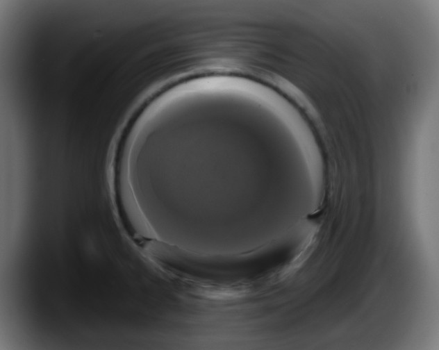 X0000087571334200705251812