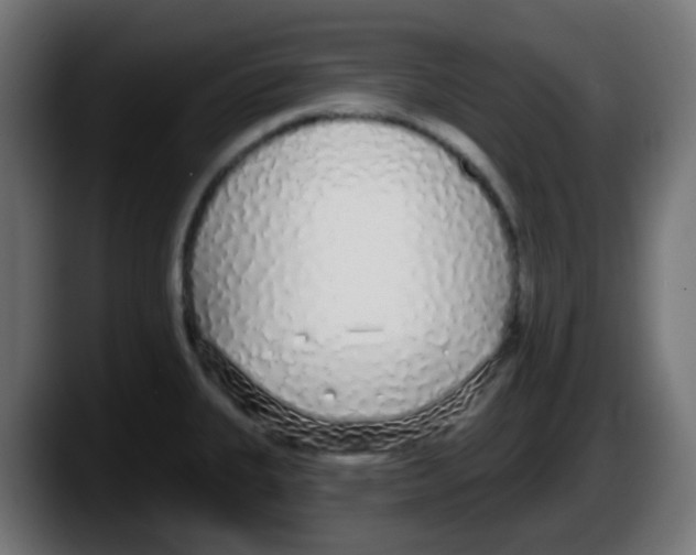 X0000087571335200705251813