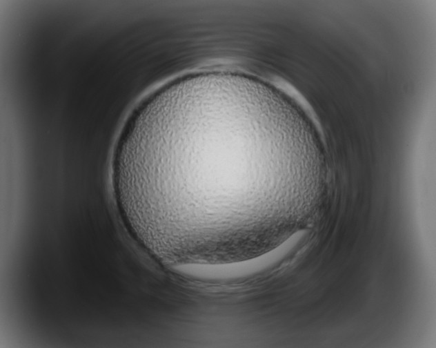 X0000087571336200705251813