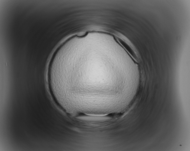 X0000087571339200705251813