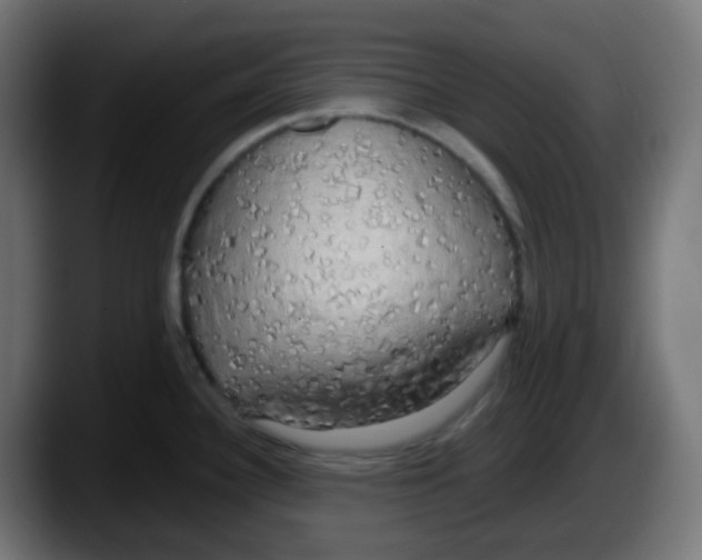 X0000087571340200705251813