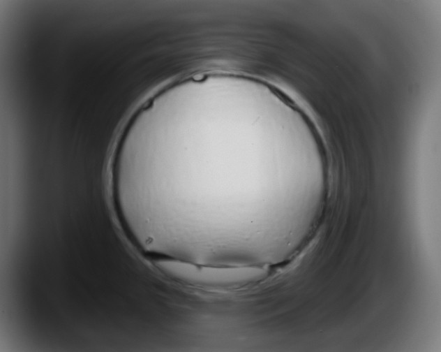 X0000087571341200705251813