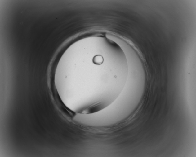 X0000087571342200705251813