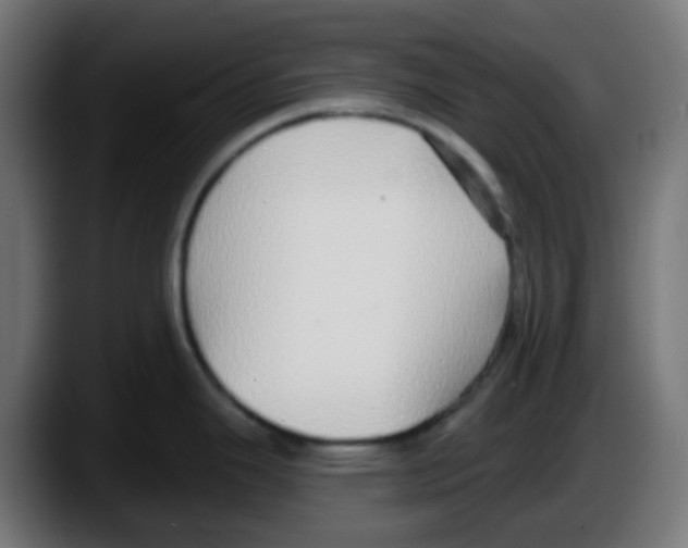 X0000087571343200705251813