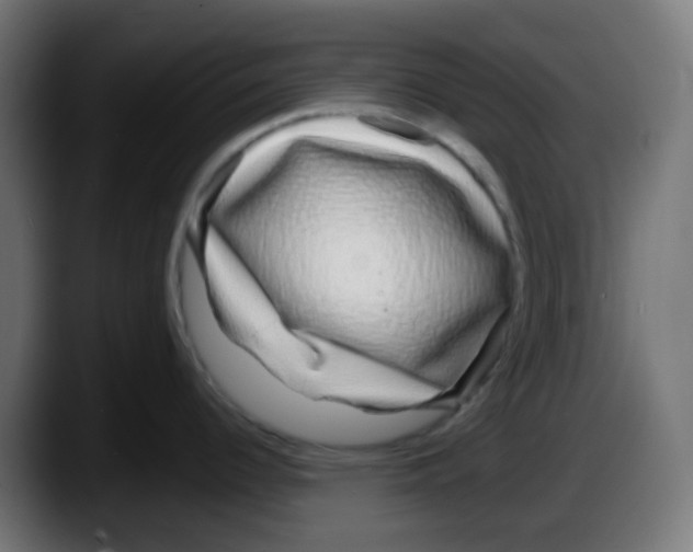 X0000087571344200705251813