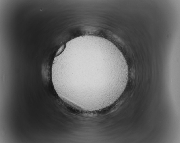 X0000087571346200705251812